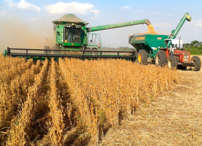 Restauración del neoliberalismo para beneficio de la agroindustria cruceña: la legalización de los transgénicos