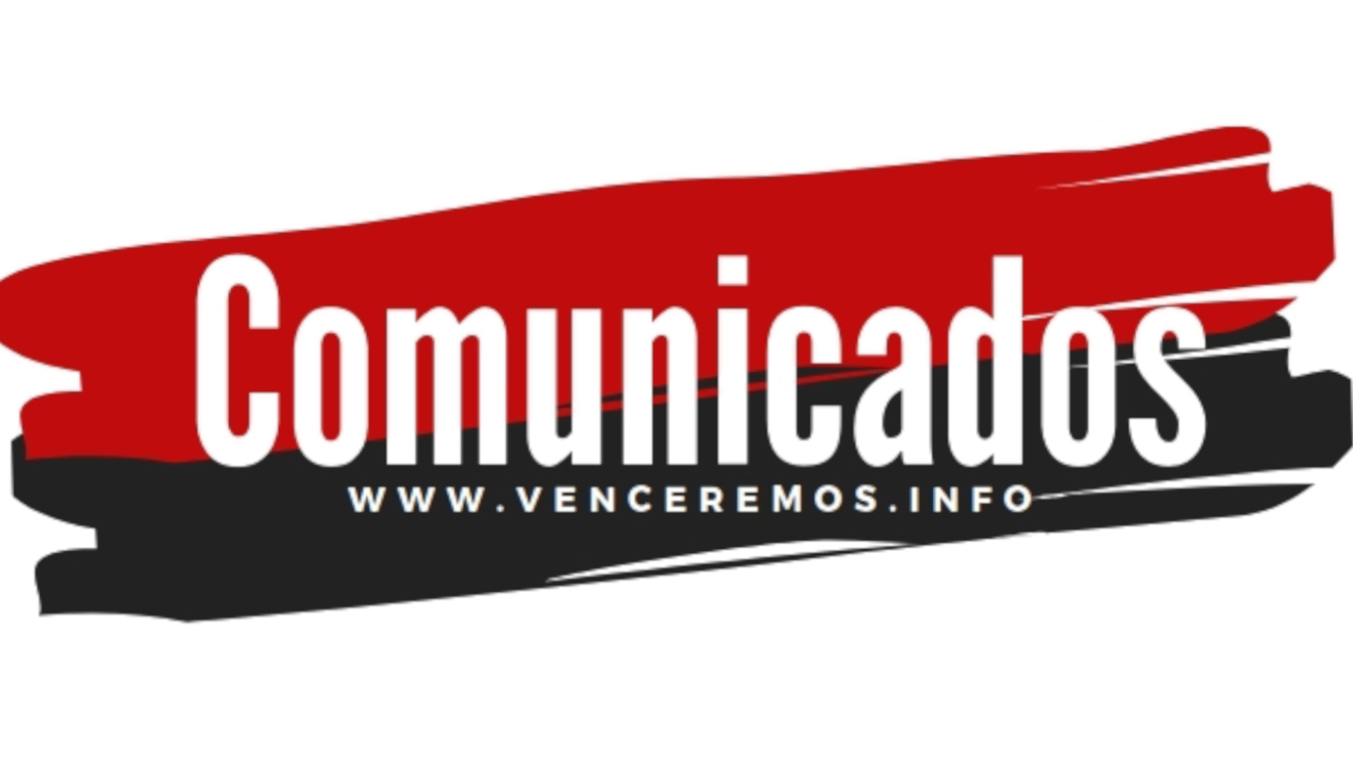 DECLARACIÓN DE LA PLATAFORMA POR LOS DERECHOS HUMANOS ANTE RECIENTE DENUNCIA ELECTORAL