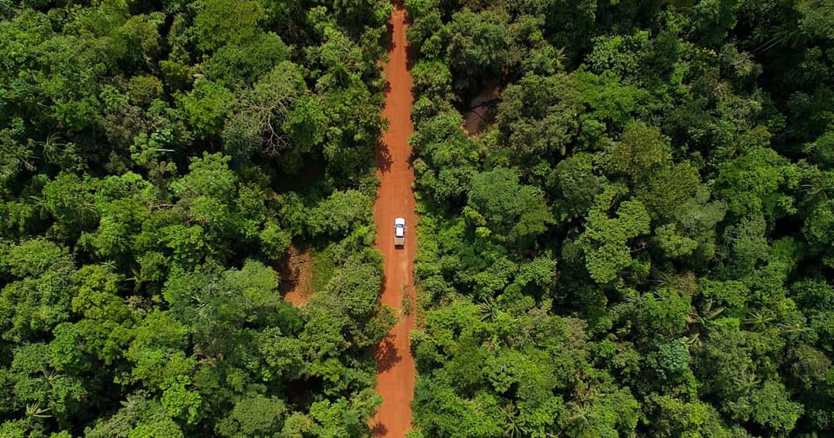 Se vende bosque para acabar con el cambio climático