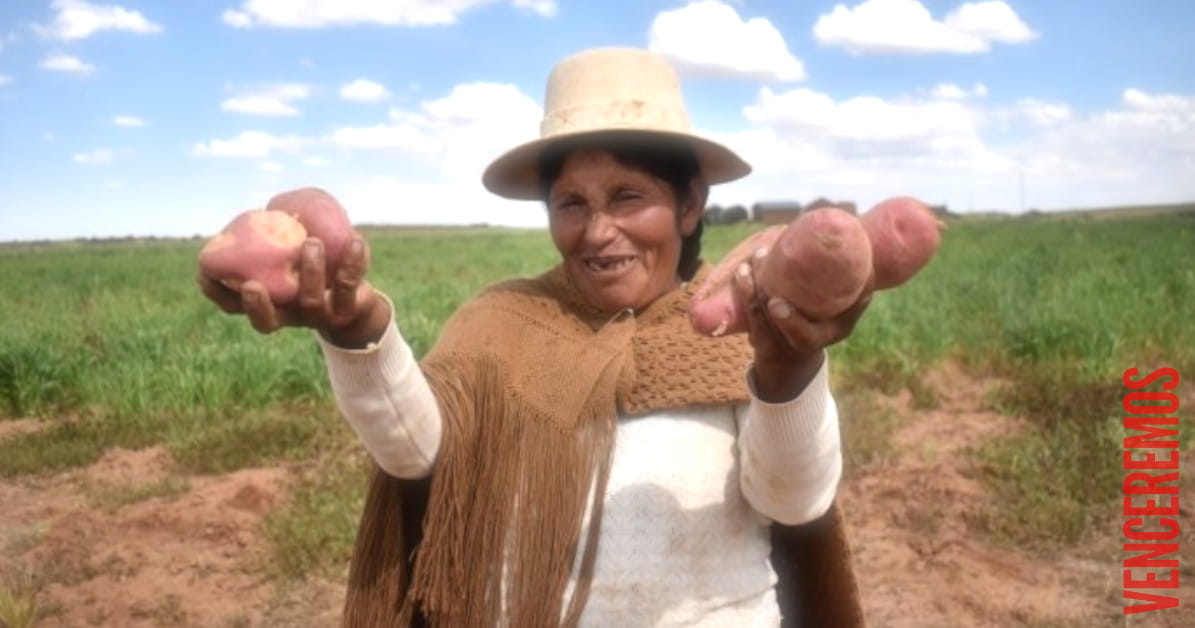 Cómo ha logrado Bolivia controlar la inflación: todo comenzó con una herejía