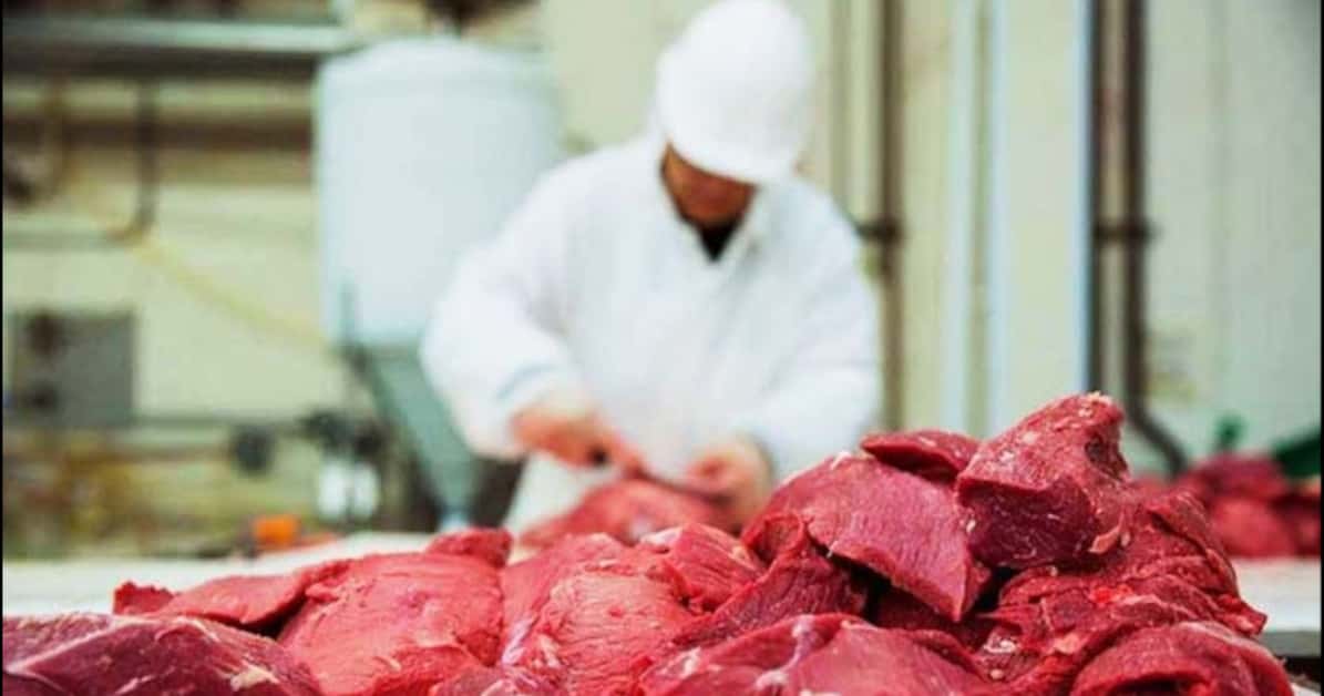 Gobierno restablece las exportaciones de soya, carne de res y azúcar