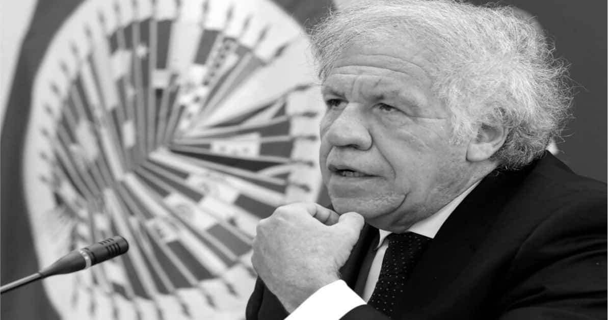 OEA: Almagro deberá entregar informes sobre la auditoría a los comicios de 2019 en Bolivia